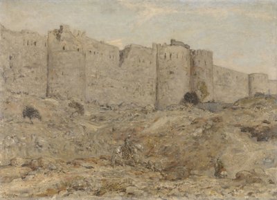 Muraille de la ville en Inde - Marius Bauer