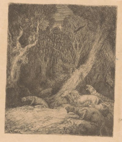 Animaux sauvages dans la forêt - Marius Bauer
