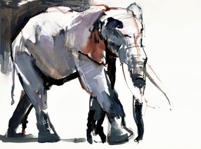 Éléphant africain, 2012 - Mark Adlington