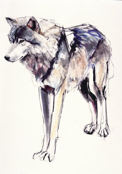 Alpha - Mark Adlington