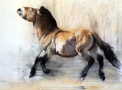 Cheval ancien (Przewalski en hiver) - Mark Adlington