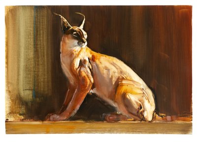 Caracal arabe, 2010 - Mark Adlington