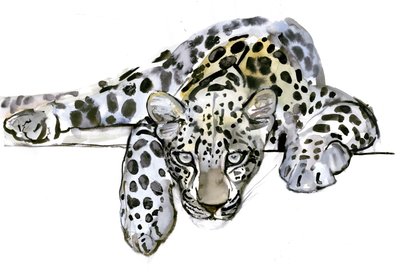 Léopard arabe, 2008 - Mark Adlington