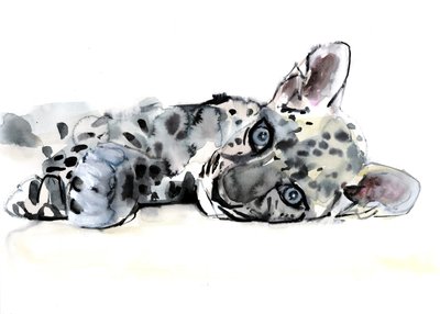 Jeune léopard arabe, 2008 - Mark Adlington