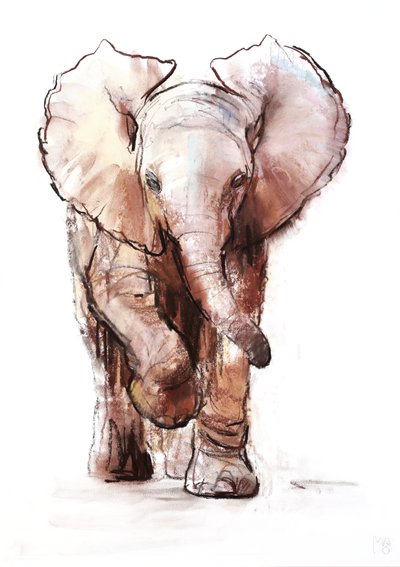 Bébé éléphant, Loisaba - Mark Adlington
