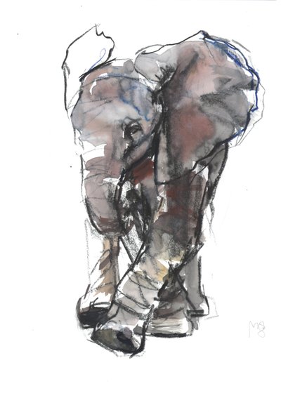 Étude de bébé éléphant, 2018 - Mark Adlington