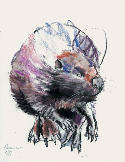 Castor, 2001 - Mark Adlington