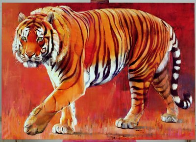 Tigre du Bengale - Mark Adlington