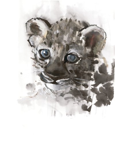 Yeux bleus (bébé léopard arabe), 2008 - Mark Adlington