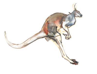 Boing, (Kangourou rouge) - Mark Adlington