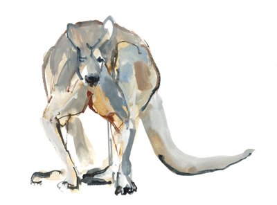 Boxeur (Kangourou rouge), 2012 - Mark Adlington