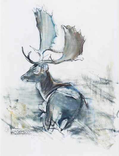 Cerf dans l
