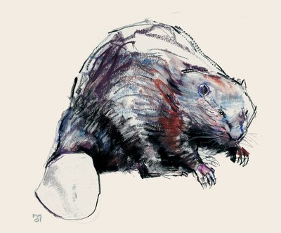 Castor Fiber, 2001 - Mark Adlington