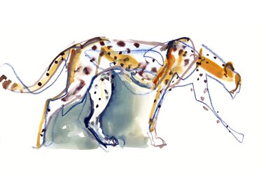 Guépard, 2022 - Mark Adlington