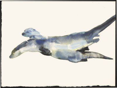 Loutres en cour - Mark Adlington