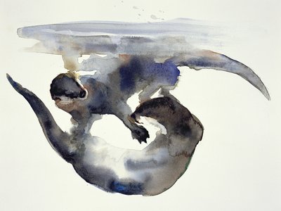Cour - Mark Adlington