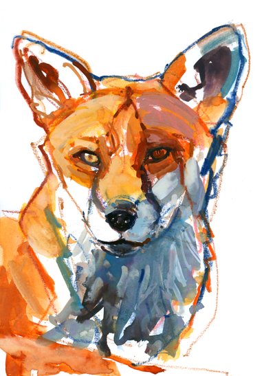 Renard mâle - Mark Adlington