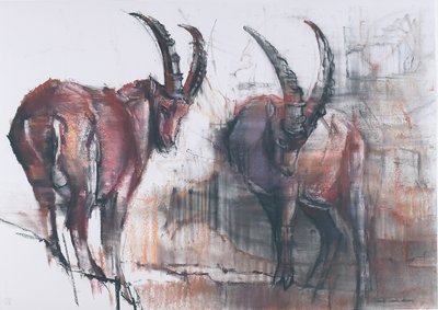 Ne Regardez Pas en Bas - Mark Adlington