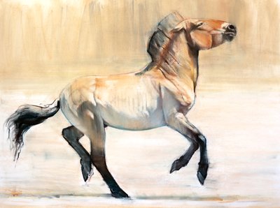 Equus (Przewalski), 2014 - Mark Adlington