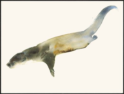 Loutre d