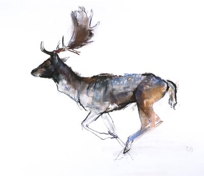 Soirée Buck (dama), 2007 - Mark Adlington