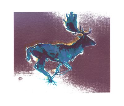 Daim (ombre bleue et jaune), 2015 - Mark Adlington