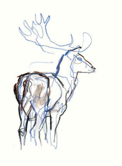 Daim, 2021 - Mark Adlington
