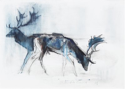 Cerfs élaphes, Richmond, 2006 - Mark Adlington