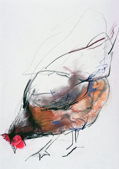 Poule nourrissante, Trasierra, 1998 - Mark Adlington