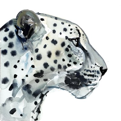 Focus, 2015 - Mark Adlington