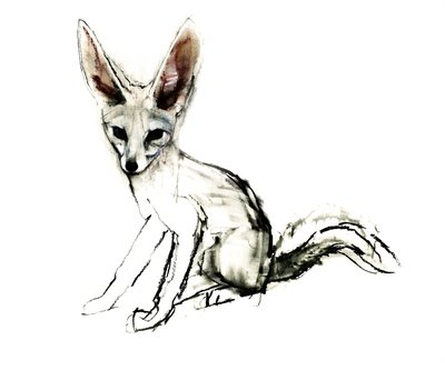 Foxy (Renard des sables), 2009 - Mark Adlington