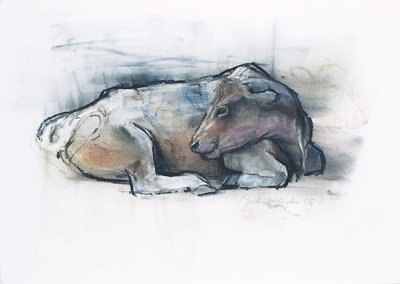 Galloway, 2006 - Mark Adlington