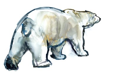 Glacier Mint (ours polaire), 2013 - Mark Adlington