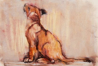 Petit lion doré - Mark Adlington