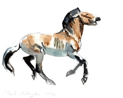 Grec (Przewalski), 2012 - Mark Adlington