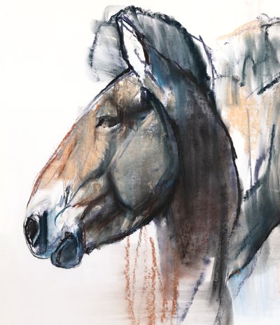 Étude de Tête, Przewalski, 2013 (détail) - Mark Adlington