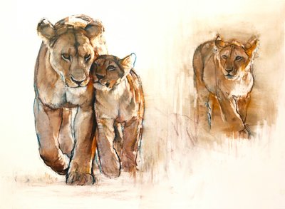Lionceau jaloux, 2019 - Mark Adlington