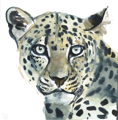 Léopard, 2015 - Mark Adlington