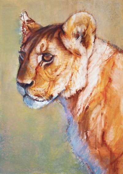 Belvédère, 2019 - Mark Adlington