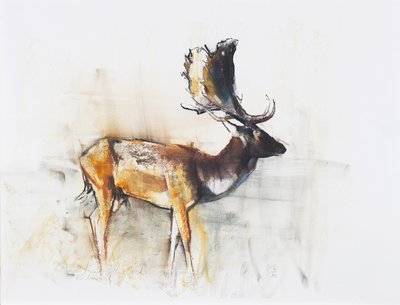 Magnifique daim, 2006 - Mark Adlington