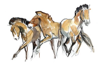 Mistral Trois (Przewalski) - Mark Adlington