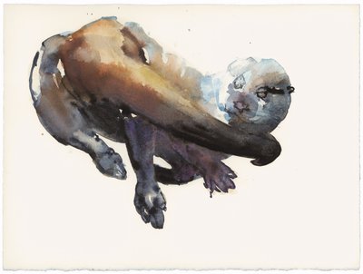 Étude de loutre I - 