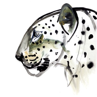 Profil Parfait, 2015 - Mark Adlington