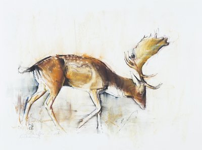 Pisanello Buck, 2006 - Mark Adlington