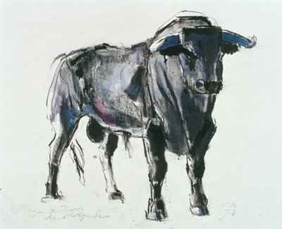 Plaza de Toros de Miajadas, 1998 - Mark Adlington