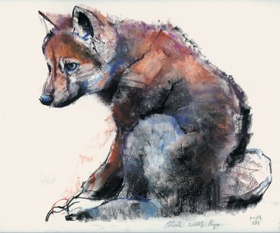 Louveteau polonais, 2001 - Mark Adlington