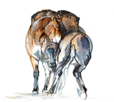 Danse de la puissance (Przewalski), 2013 - Mark Adlington