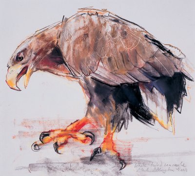 Raptor, 2001 - Mark Adlington