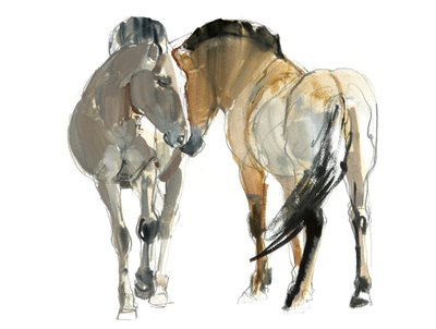 Rencontre (Przewalski), 2013 - Mark Adlington