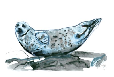 Rocky (phoque), 2019 - Mark Adlington